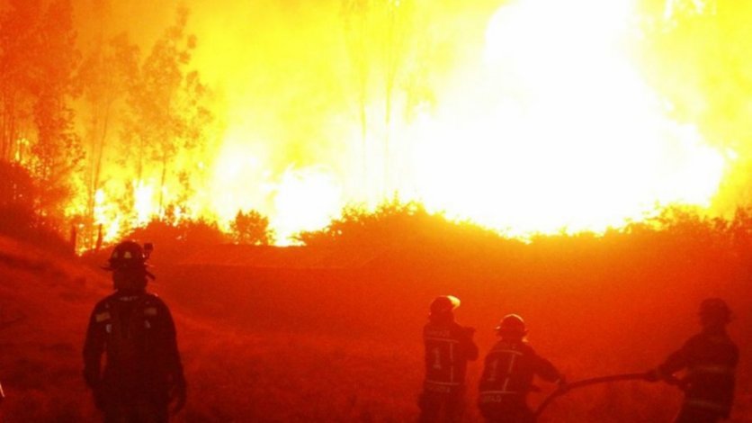 De qué se trata la Ley de Fuego derogada por Milei