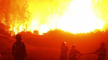 De qué se trata la Ley de Fuego derogada por Milei