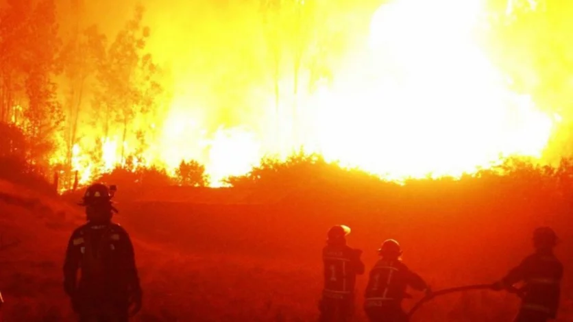 De qué se trata la Ley de Fuego derogada por Milei