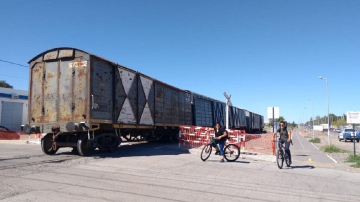 Descarriló el tren de cargas y suspenden el de pasajeros