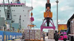 Cayeron las exportaciones a Rusia y peligran los pagos