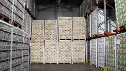 "Sin Rusia la exportación de peras y manzanas pierde U$S 70 millones"