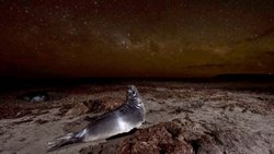 Otro premio internacional para una fotógrafa de Chubut
