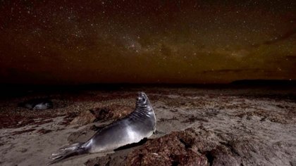 Otro premio internacional para una fotógrafa de Chubut