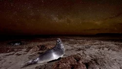 Otro premio internacional para una fotógrafa de Chubut