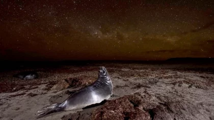 Otro premio internacional para una fotógrafa de Chubut