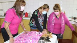 Exitosa jornada de castración