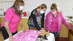 Exitosa jornada de castración