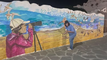 Las aves playeras tienen su propio festival en Las Grutas