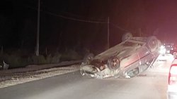 Un auto chocó contra un caballo y volcó en Ruta 7