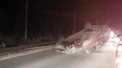 Un auto chocó contra un caballo y volcó en Ruta 7