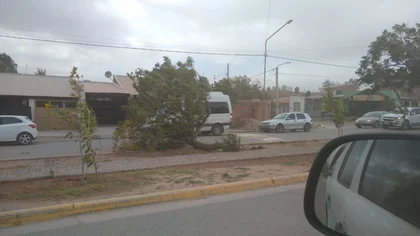 Rincón de los Sauces: el viento provocó grandes destrozos