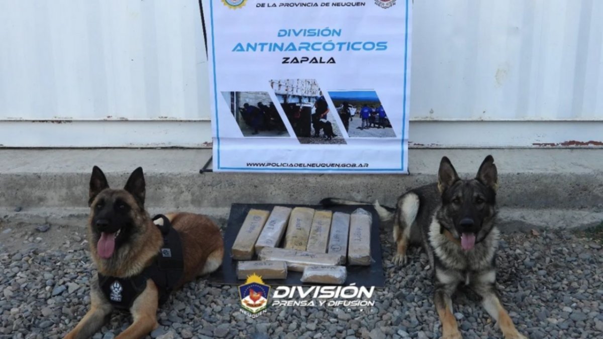 Escapaba de la Policía con 9 kilos de marihuana