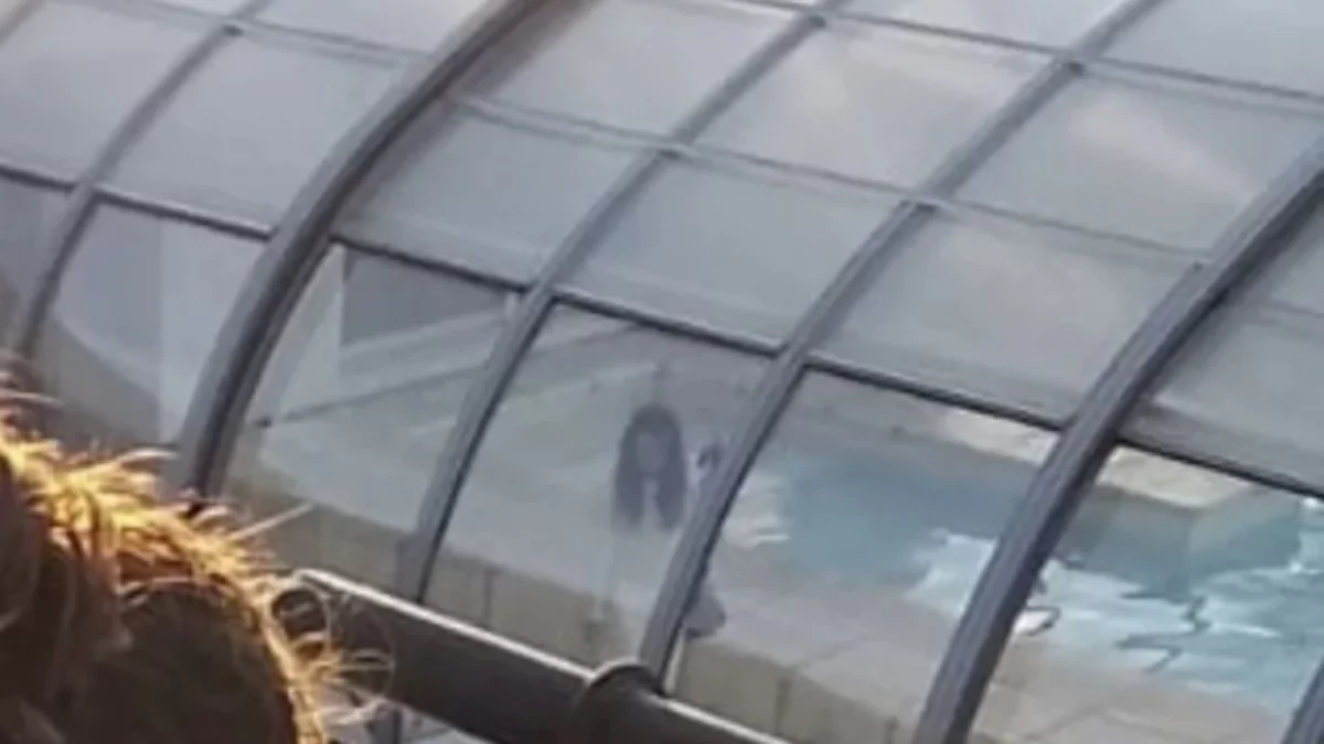 Le sacó una foto a su novia y descubrió algo terrorífico