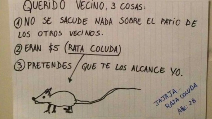 “Sos una rata coluda”, le dijo y no le devolvió la plata