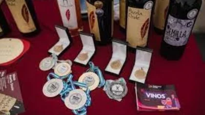 De policía a productor de vinos artesanales en Senillosa