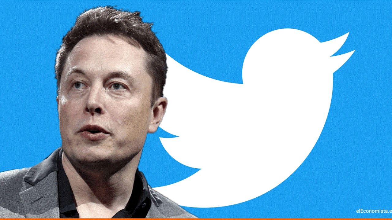 Elon Musk y Argentina: los sectores en los que planea desarrollar negocios