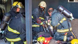 Mediante RCP, una bombera rescató a un perrito
