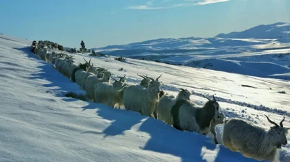 Llega un anticipo del invierno en las próximas horas