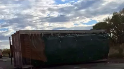Dos personas murieron tras embestir un camión en la Ruta 151