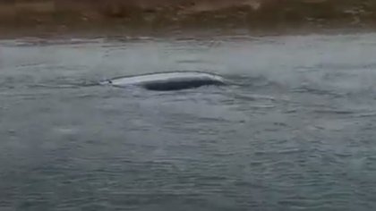 Encontraron en el canal una camioneta robada en Centenario