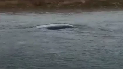 Encontraron en el canal una camioneta robada en Centenario