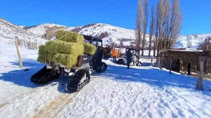 Hallaron a los puesteros que quedaron atrapados por la nieve
