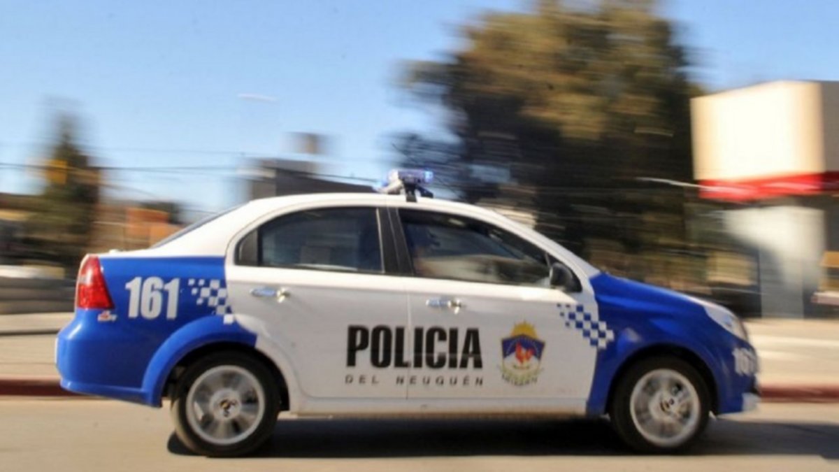Le robaron y descubrió que un delincuente era su expareja