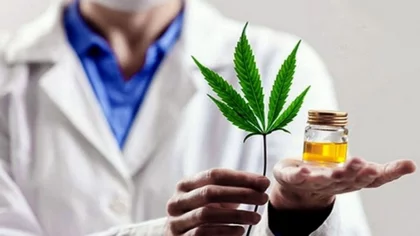 Cannabis medicinal: Diputados convirtió en ley el marco regulatorio