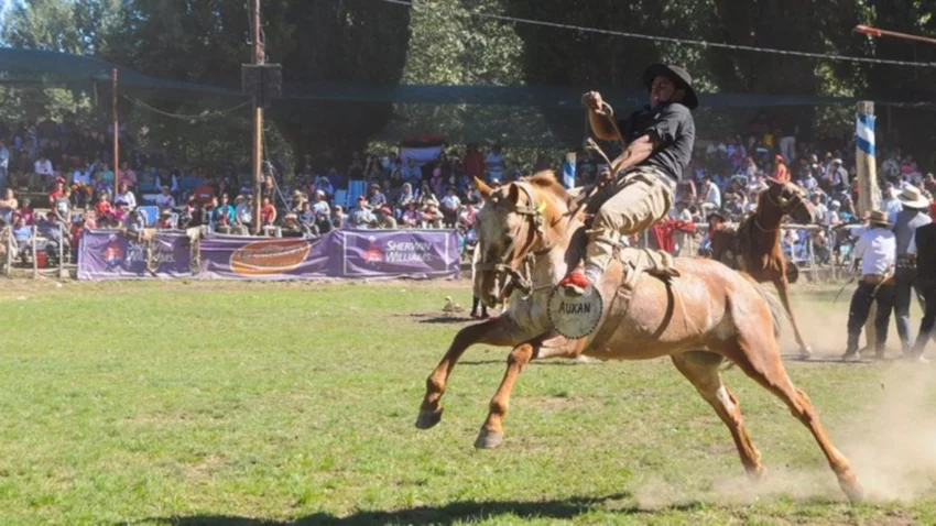 Comienza el campeonato neuquino de jineteadas