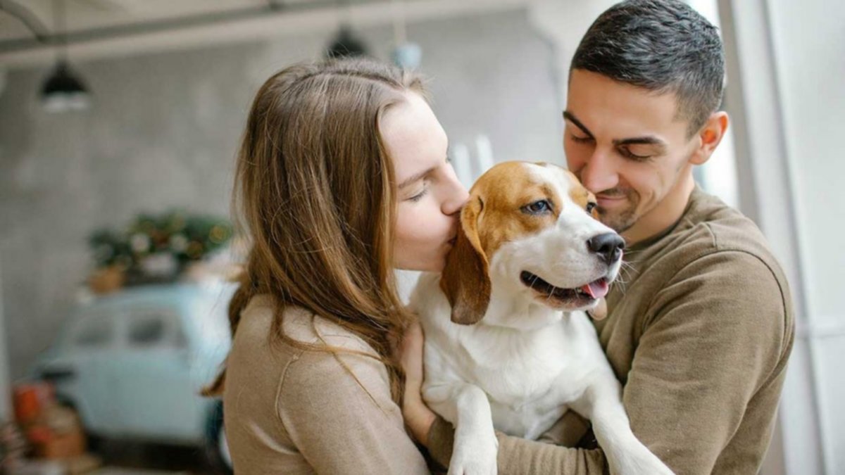 La relación del humano con los animales