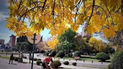 Pronóstico en Neuquén: ¿cómo empieza el otoño este fin de semana?