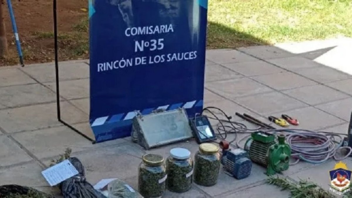 Detuvieron a un robacables en Rincón de los Sauces