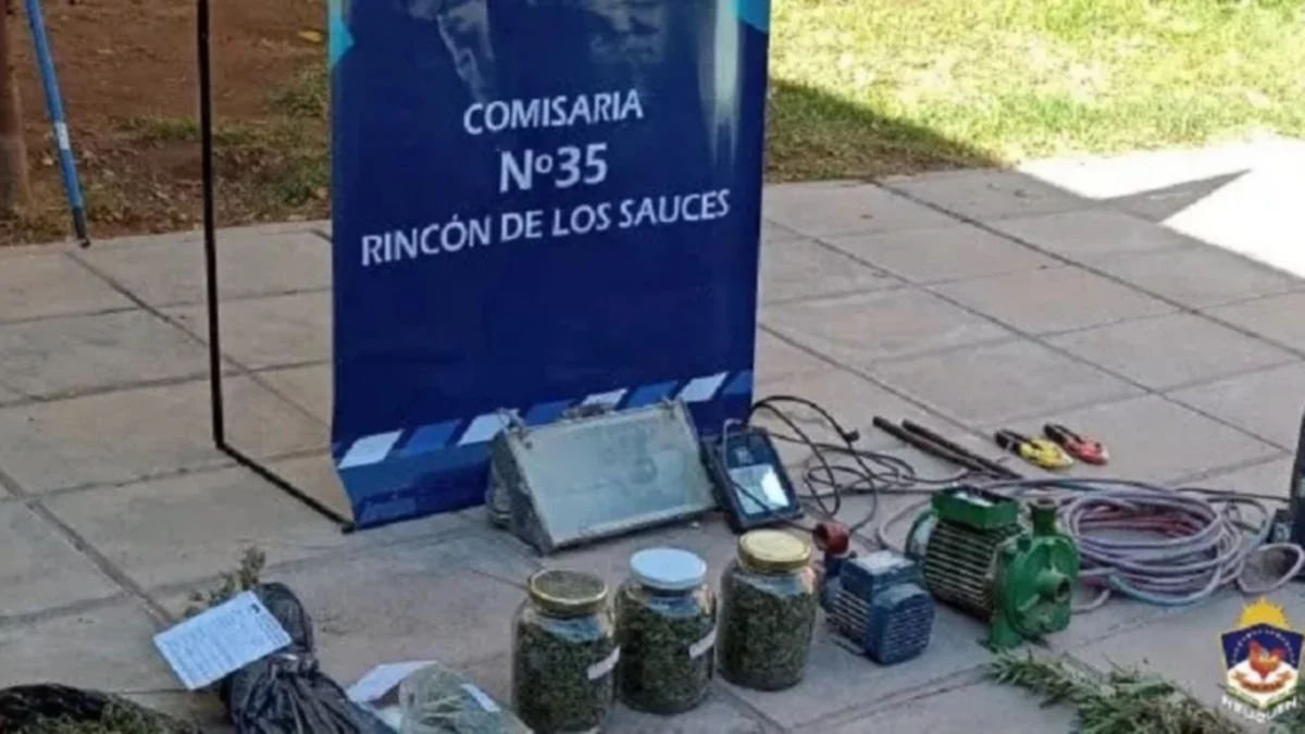 Detuvieron a un robacables en Rincón de los Sauces