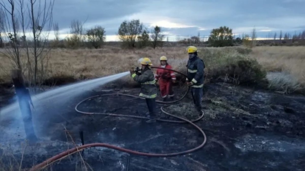 Gran incendio en Plottier: cuatro hectáreas afectadas