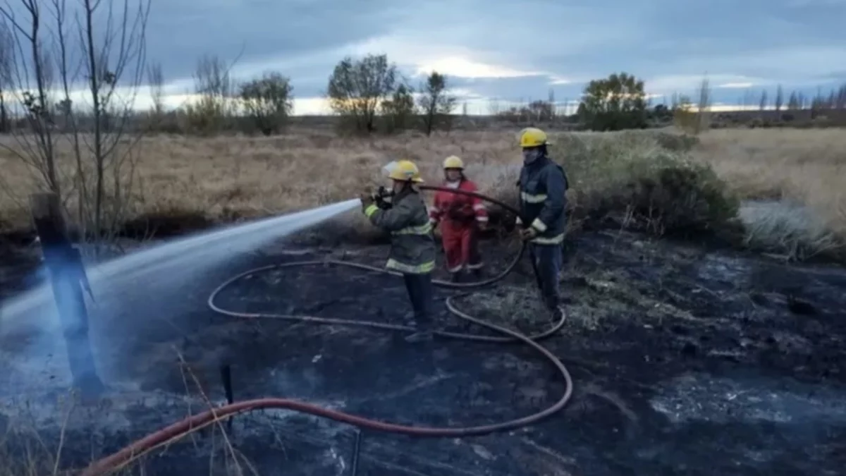 Gran incendio en Plottier: cuatro hectáreas afectadas