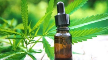 La Ley de Cannabis Medicinal abre el juego a inversiones