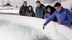 Neuquén exportó 500 toneladas de truchas en 2 meses