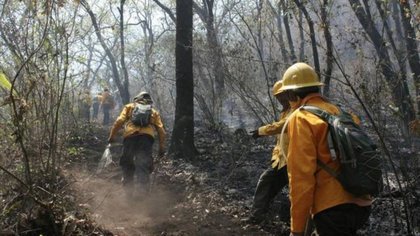 Combatientes de incendios piden jubilación anticipada