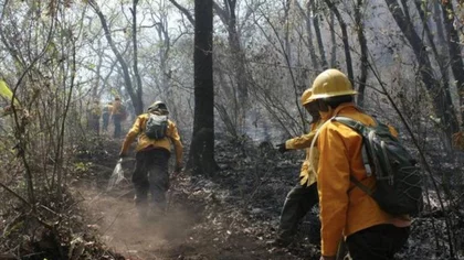 Combatientes de incendios piden jubilación anticipada