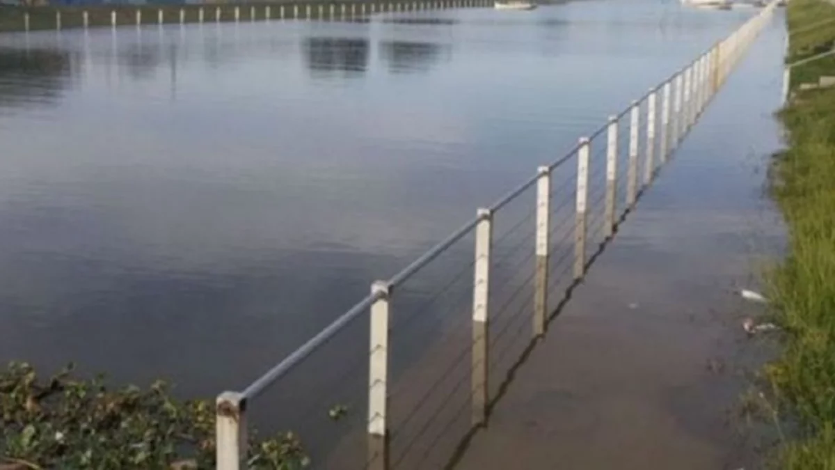 Horror: hallaron el cadáver de una mujer flotando en el agua