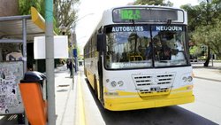 ¡Con este frío… no pasó el colectivo!
