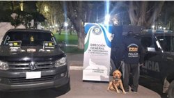 Dos detenidos con droga que llevaban escondida en el auto