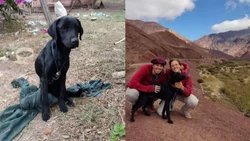 Rescataron un perro en Salta y se irá a Alemania con ellos