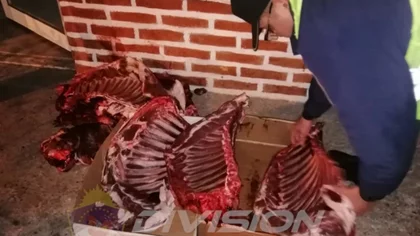 Llevaba carne irregular y se trompeó con policías
