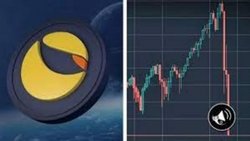 Mundo Crypto: Por qué cayeron Luna y UST