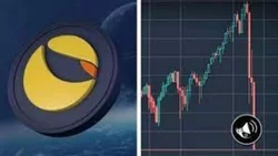 Mundo Crypto: Por qué cayeron Luna y UST