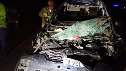 Ruta 22: una camioneta chocó de lleno contra un caballo