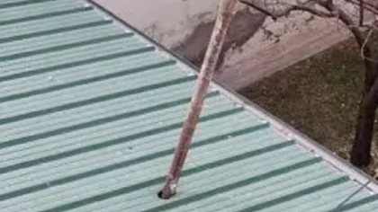 Neuquén: cayó un caño de 5 metros de un piso 17 en pleno centro