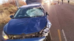 Grave accidente en Ruta 7: embistió a una yegua y la mató
